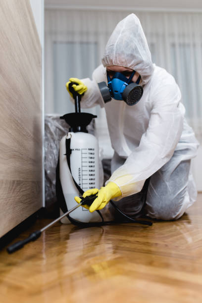 Best Indoor Pest Control  in Alice, TX